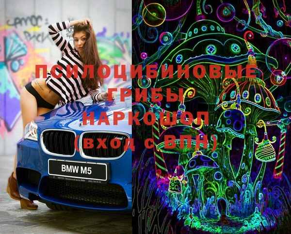 шишки Баксан