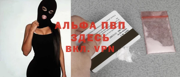 шишки Баксан
