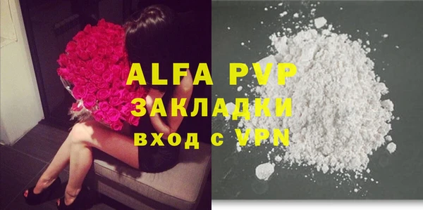 шишки Баксан